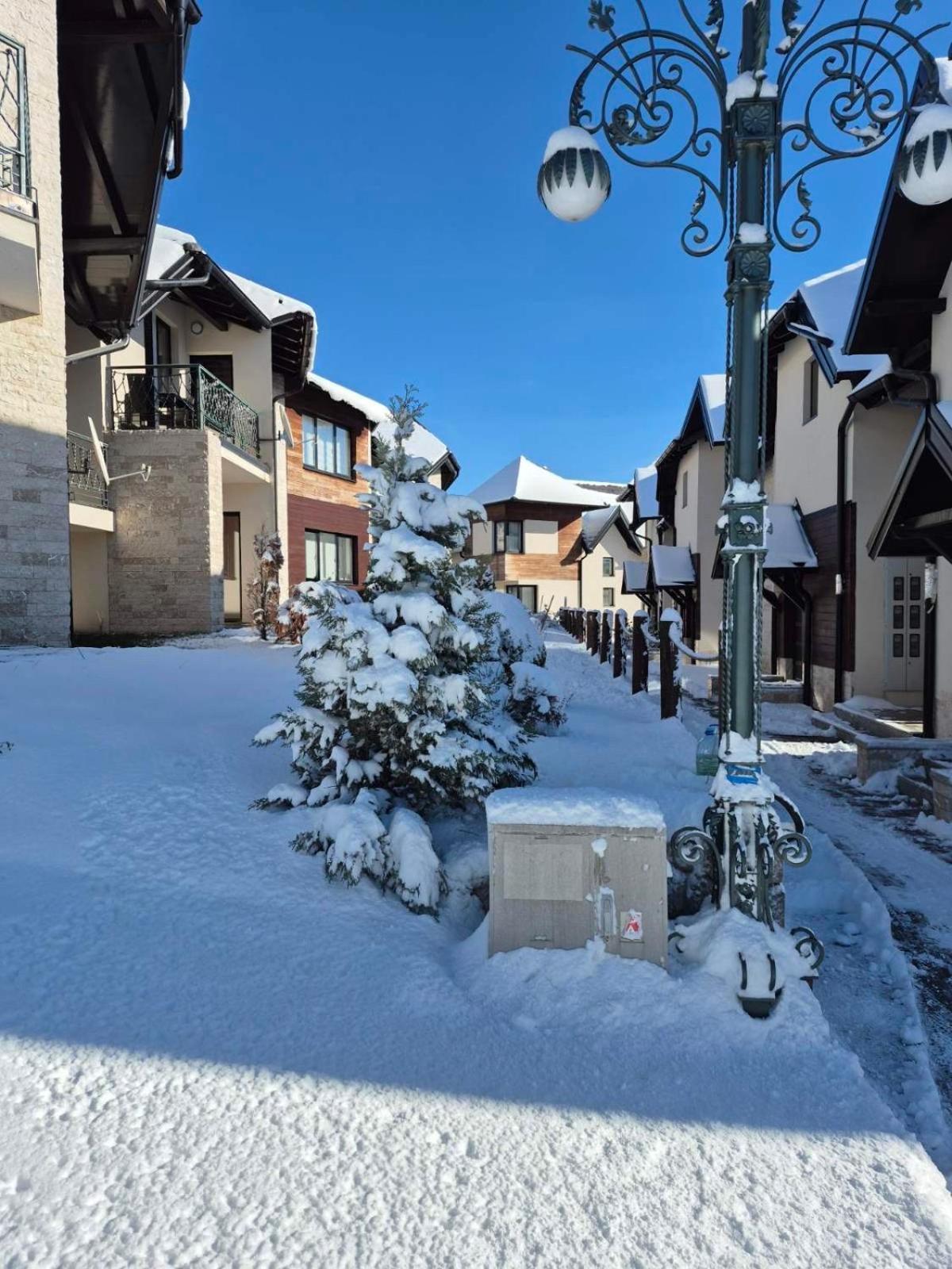 Vivien Apartmani Zlatibor Dış mekan fotoğraf